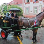 Kattintson a képre az új ablakban megnyíló eredeti felbontású fotóért.