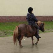 Kattintson a képre az új ablakban megnyíló eredeti felbontású fotóért.