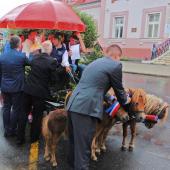 Kattintson a képre az új ablakban megnyíló eredeti felbontású fotóért.