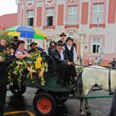 Kattintson a képre az új ablakban megnyíló eredeti felbontású fotóért.