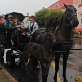 Kattintson a képre az új ablakban megnyíló eredeti felbontású fotóért.