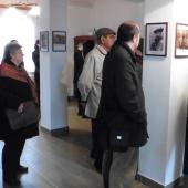 Kattintson a képre az új ablakban megnyíló eredeti felbontású fotóért.