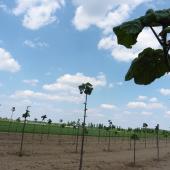 Kattintson a képre az új ablakban megnyíló eredeti felbontású fotóért.