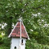 Kattintson a képre az új ablakban megnyíló eredeti felbontású fotóért.