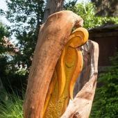 Kattintson a képre az új ablakban megnyíló eredeti felbontású fotóért.