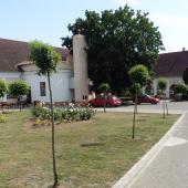 Kattintson a képre az új ablakban megnyíló eredeti felbontású fotóért.