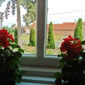 Kattintson a képre az új ablakban megnyíló eredeti felbontású fotóért.