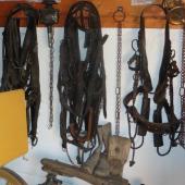 Kattintson a képre az új ablakban megnyíló eredeti felbontású fotóért.