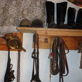 Kattintson a képre az új ablakban megnyíló eredeti felbontású fotóért.