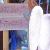 Kattintson a képre az új ablakban megnyíló eredeti felbontású fotóért.