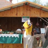 Kattintson a képre az új ablakban megnyíló eredeti felbontású fotóért.