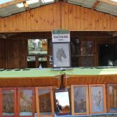 Kattintson a képre az új ablakban megnyíló eredeti felbontású fotóért.