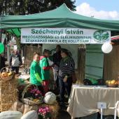 Kattintson a képre az új ablakban megnyíló eredeti felbontású fotóért.