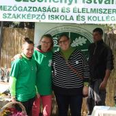 Kattintson a képre az új ablakban megnyíló eredeti felbontású fotóért.