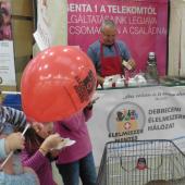 Kattintson a képre az új ablakban megnyíló eredeti felbontású fotóért.