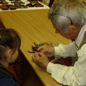 Kattintson a képre az új ablakban megnyíló eredeti felbontású fotóért.