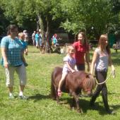 Kattintson a képre az új ablakban megnyíló eredeti felbontású fotóért.