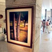 Kattintson a képre az új ablakban megnyíló eredeti felbontású fotóért.