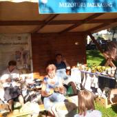 Kattintson a képre az új ablakban megnyíló eredeti felbontású fotóért.