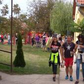 Kattintson a képre az új ablakban megnyíló eredeti felbontású fotóért.