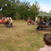 Kattintson a képre az új ablakban megnyíló eredeti felbontású fotóért.