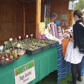 Kattintson a képre az új ablakban megnyíló eredeti felbontású fotóért.