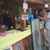 Kattintson a képre az új ablakban megnyíló eredeti felbontású fotóért.