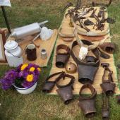 Kattintson a képre az új ablakban megnyíló eredeti felbontású fotóért.