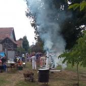 Kattintson a képre az új ablakban megnyíló eredeti felbontású fotóért.