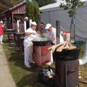Kattintson a képre az új ablakban megnyíló eredeti felbontású fotóért.