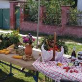 Kattintson a képre az új ablakban megnyíló eredeti felbontású fotóért.