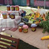 Kattintson a képre az új ablakban megnyíló eredeti felbontású fotóért.