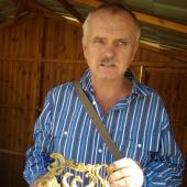 Kattintson a képre az új ablakban megnyíló eredeti felbontású fotóért.