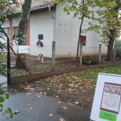 Kattintson a képre az új ablakban megnyíló eredeti felbontású fotóért.