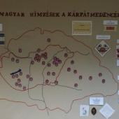 Kattintson a képre az új ablakban megnyíló eredeti felbontású fotóért.