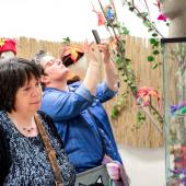 Kattintson a képre az új ablakban megnyíló eredeti felbontású fotóért.