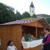 Kattintson a képre az új ablakban megnyíló eredeti felbontású fotóért.