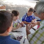 Kattintson a képre az új ablakban megnyíló eredeti felbontású fotóért.