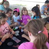 Kattintson a képre az új ablakban megnyíló eredeti felbontású fotóért.