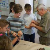 Kattintson a képre az új ablakban megnyíló eredeti felbontású fotóért.