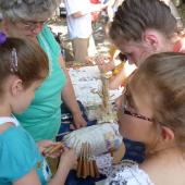 Kattintson a képre az új ablakban megnyíló eredeti felbontású fotóért.