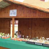 Kattintson a képre az új ablakban megnyíló eredeti felbontású fotóért.