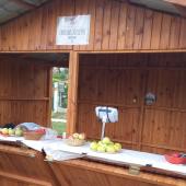 Kattintson a képre az új ablakban megnyíló eredeti felbontású fotóért.