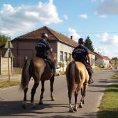 Kattintson a képre az új ablakban megnyíló eredeti felbontású fotóért.
