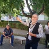 Kattintson a képre az új ablakban megnyíló eredeti felbontású fotóért.