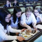 Kattintson a képre az új ablakban megnyíló eredeti felbontású fotóért.