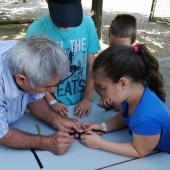 Kattintson a képre az új ablakban megnyíló eredeti felbontású fotóért.