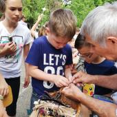 Kattintson a képre az új ablakban megnyíló eredeti felbontású fotóért.