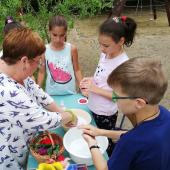 Kattintson a képre az új ablakban megnyíló eredeti felbontású fotóért.