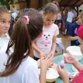 Kattintson a képre az új ablakban megnyíló eredeti felbontású fotóért.